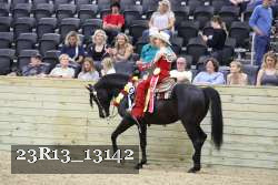 23R13_13142 thumbnail