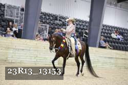23R13_13153 thumbnail