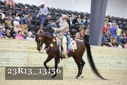 23R13_13156 thumbnail