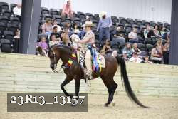 23R13_13157 thumbnail