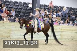 23R13_13158 thumbnail