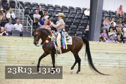 23R13_13159 thumbnail