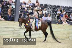 23R13_13160 thumbnail