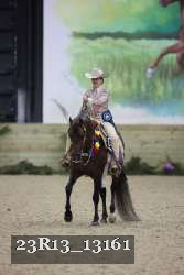 23R13_13161 thumbnail