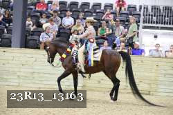 23R13_13163 thumbnail
