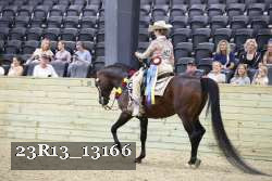 23R13_13166 thumbnail