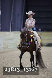 23R13_13167 thumbnail
