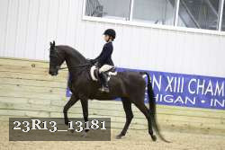 23R13_13181 thumbnail