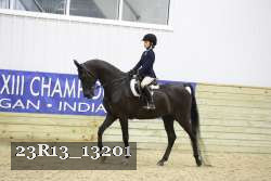 23R13_13201 thumbnail