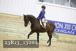 23R13_13202 thumbnail