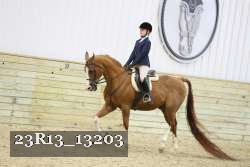 23R13_13203 thumbnail