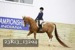 23R13_13204 thumbnail