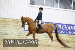 23R13_13205 thumbnail
