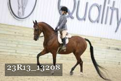 23R13_13208 thumbnail