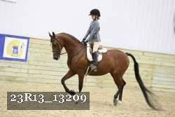 23R13_13209 thumbnail