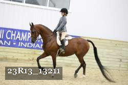 23R13_13211 thumbnail