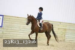 23R13_13216 thumbnail