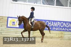 23R13_13218 thumbnail