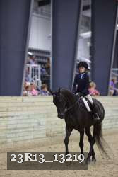 23R13_13219 thumbnail