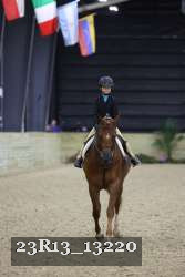 23R13_13220 thumbnail