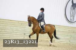 23R13_13221 thumbnail