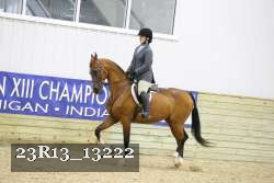 23R13_13222 thumbnail