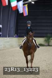 23R13_13223 thumbnail
