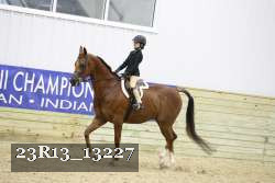 23R13_13227 thumbnail