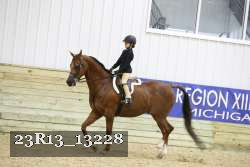 23R13_13228 thumbnail