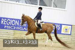 23R13_13233 thumbnail