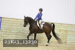 23R13_13236 thumbnail