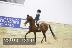 23R13_13241 thumbnail