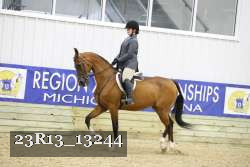 23R13_13244 thumbnail