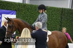 23R13_13245 thumbnail