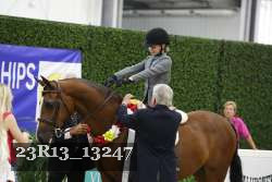 23R13_13247 thumbnail