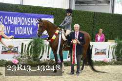 23R13_13248 thumbnail