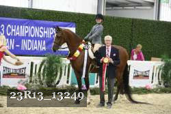23R13_13249 thumbnail