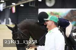 23R13_13258 thumbnail