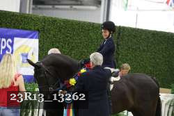23R13_13262 thumbnail