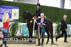 23R13_13263 thumbnail