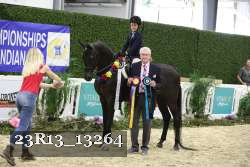 23R13_13264 thumbnail