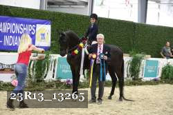 23R13_13265 thumbnail