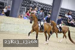 23R13_13268 thumbnail