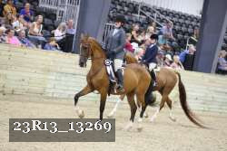 23R13_13269 thumbnail