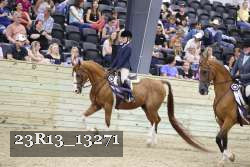23R13_13271 thumbnail