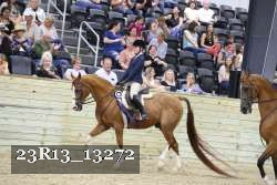 23R13_13272 thumbnail
