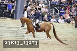 23R13_13273 thumbnail