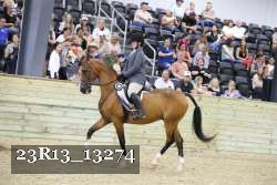 23R13_13274 thumbnail