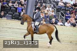 23R13_13275 thumbnail