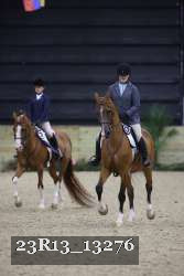 23R13_13276 thumbnail